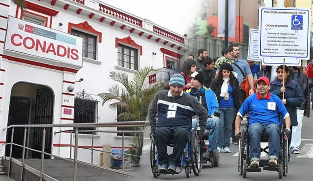 Más de 30 organizaciones de personas con discapacidad y sus familias han lanzado una campaña de cuidados y apoyos. Foto: Andina/LR