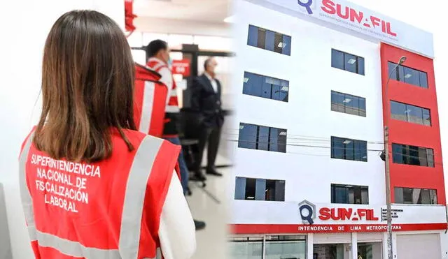 Sunafil ha publicado vacantes para diferentes puestos con salarios competitivos. Foto: composición LR/difusión