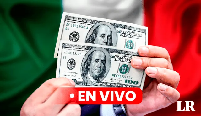 Así luce el dólar en México este miércoles 21 | Lr/ Composición: Jazmin Ceras