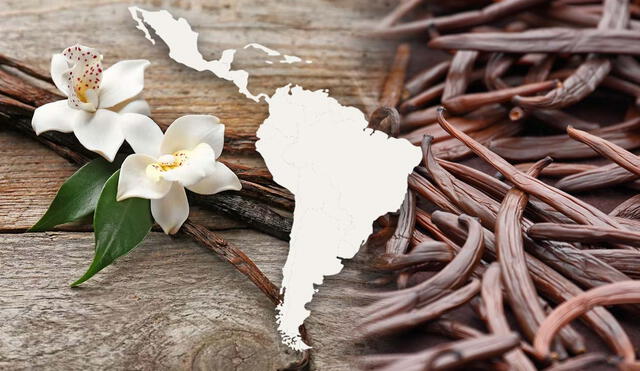 Este país de América Latina es el tercer mayor productor de vainilla en el mundo, especie que conquistó al mundo y es empleado en la gastronomía y cosmetica. Foto: composición LR/DALL.E