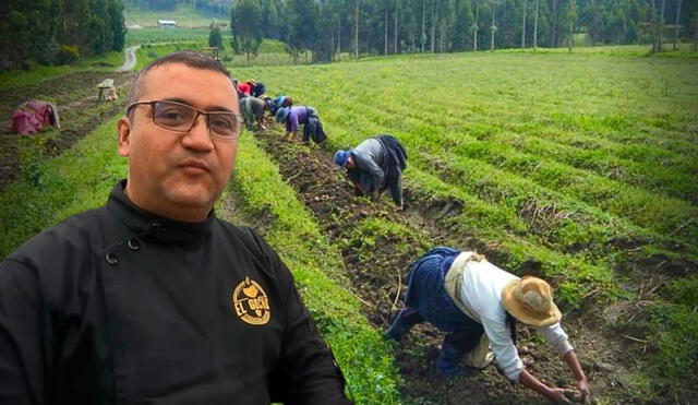 Venezolano lleva técnicas de agricultura de Perú a Venezuela: "Todo lo que saca Perú son productos de primera". Foto: composición LR / Naaa' PELUSA  Julio Camina Contigo / agraria.pe