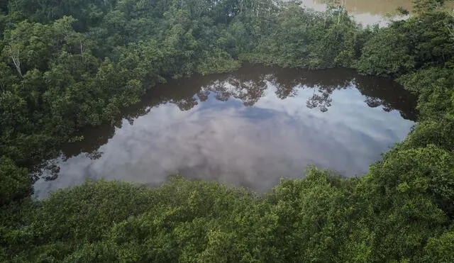 Posibles impactos en los ecosistemas de la selva peruana. Fuente: Difusión