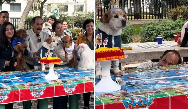 "¡Feliz cumple, Doguito! Que vengan muchos añitos más", resaltó artífice de clip viral. Foto: composición LR/ TikTok