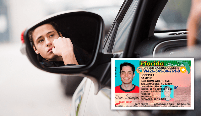 En Florida, algunas licencias de conducir ya no serán válidas debido a la ley HB 1589. Foto: Freepik/Composición LR