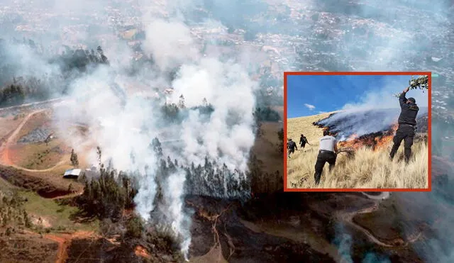 Incendios forestales acechan a diversas regiones y varios de ellos son provocados. Foto: composición LR/Andina/Ronal Bolívar