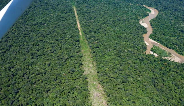 Pista de aterrizaje del narcotráfico en reserva indígena kakataibo. Foto: Aidesep