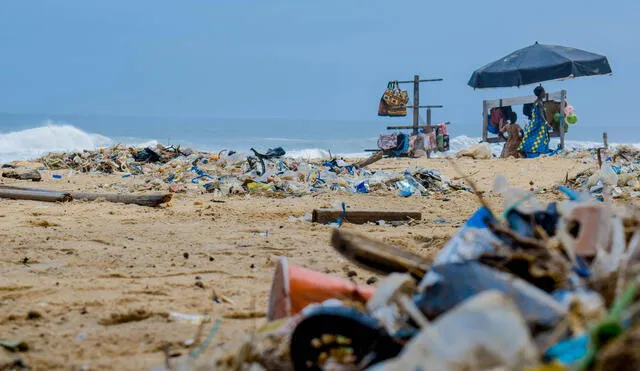 Se encontraron 21.360 ítems de basura, clasificados en plástico, madera procesada, papel, mascarillas, colillas de cigarrillo, metal, vidrio, entre otros. Foto: Pexels