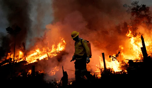 En Brasil, hay 21 municipios de San Pablo que enfrentan incendios forestales. Foto: France 24