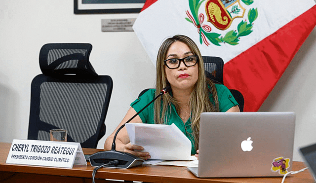 Congresista en un primer instante enfatizó que no "estaba prohibido" recibir donaciones. Foto: difusión.