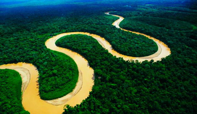 El experto del Senamhi, Paredes Riveros, señaló que el bajo caudal del río Amazonas se debe a la falta de lluvias en la cuenca. Foto: Fundación Aquae