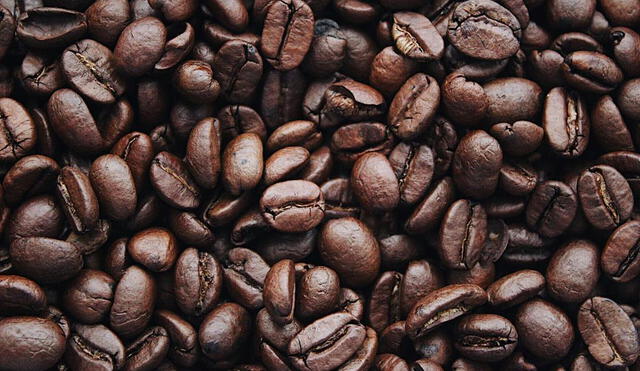 Conoce todo el potencial del café para generar más ingresos. Fuente: Difusión