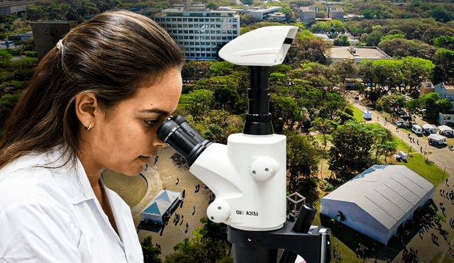 La convocatoria está dirigida a estudiantes de posgrado e investigadores. Foto: composición LR/Concytec/USP