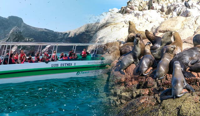 Revisa las diferencias entre Islas Ballestas e Isla Blanca. Foto: Composición LR/Andina.