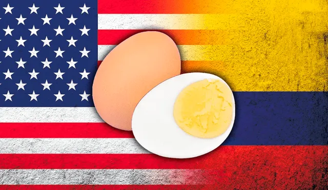 El video viral de una usuaria colombiana lanzó serias preguntas sobre el sabor del huevo en Estados Unidos y otros países. Foto: composición LR/ABC/Espectador