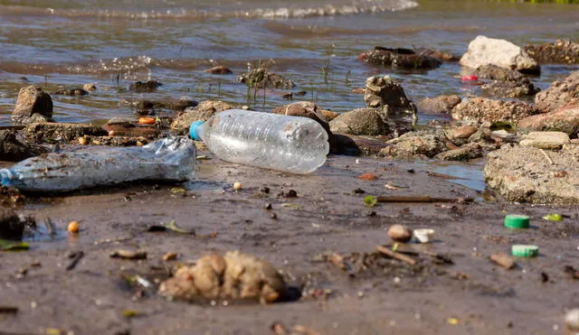 Los ríos contaminados en la región contienen niveles peligrosos de metales pesados como plomo, mercurio y cromo, que pueden causar daños a largo plazo en la salud. Foto: Freepik