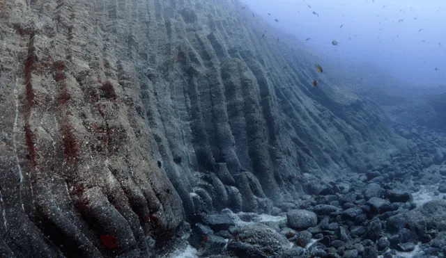 La plata se encuentra en el fondo del mar principalmente en forma de depósitos de sulfuros. Foto: Freepik