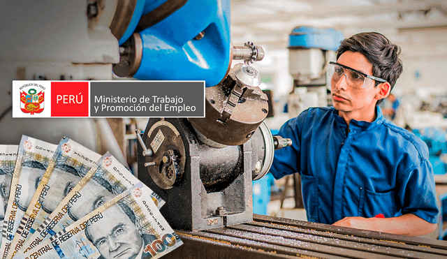 De acuerdo con el Ministerio de Trabajo, los técnicos en esta carrera perciben mejor remuneración que los profesionales de medicina e ingeniería. Foto: composición LR/MTPE/Senati