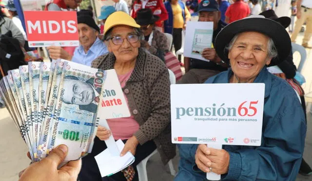 El Programa Nacional de Asistencia Solidaria Pensión 65 está a cargo del Ministerio de Desarrollo e Inclusión Social. Foto: Midis/LR