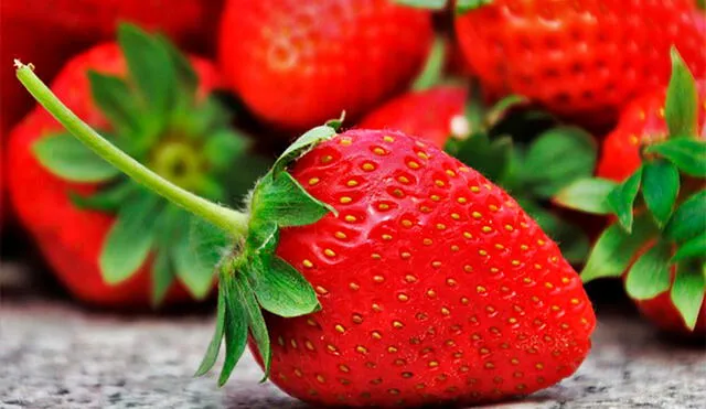 Aprende a desinfectar las deliciosas fresas antes de consumirlas. Foto: Soluciones rápidas.