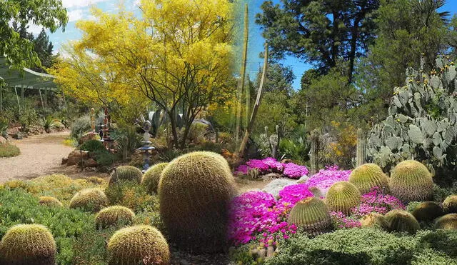 El Jardín Ruth Bancroft fue el primer jardín en los Estados Unidos en ser preservado por el Garden Conservancy. Foto: composición LR/ Travel Leisure