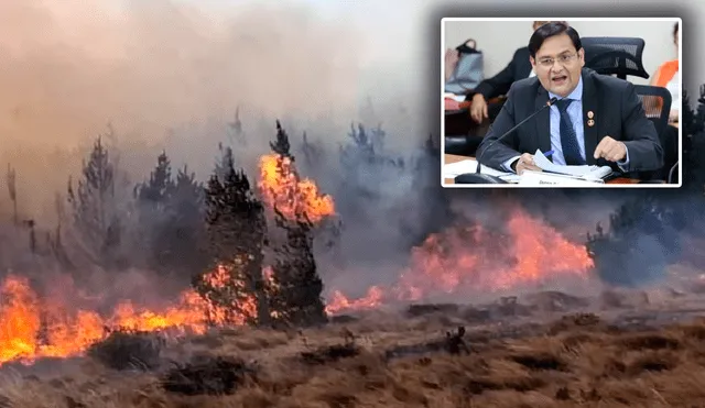 Alcalde de Lambayeque solicita apoyo de la FAP para apagar incendio forestal. Foto: composición LR/difusión.