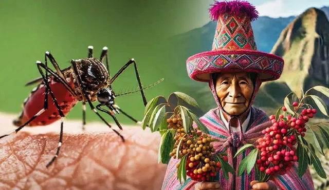 El molle, conocido también como aguaribay, es valorado por su potencial para ahuyentar mosquitos, gracias a compuestos como terpineol y felandreno. Foto: composición LR/Dall.E/El Mundo