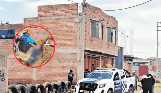 Hombre de 90 años muere al caer desde el tercer piso en Puno. Foto: composición LR