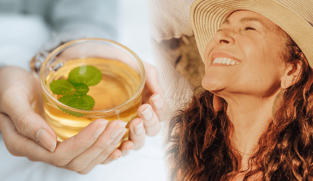 El té blanco, es una infusión rica en antioxidantes y vitaminas que ofrece múltiples beneficios para la salud, la estética y el fortalece el sistema inmunológico. Foto: Pexels