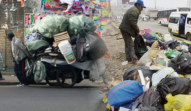 ¿Cuánto se gana reciclando cartón y botellas de plástico en un día?: youtuber revela la insólita cifra