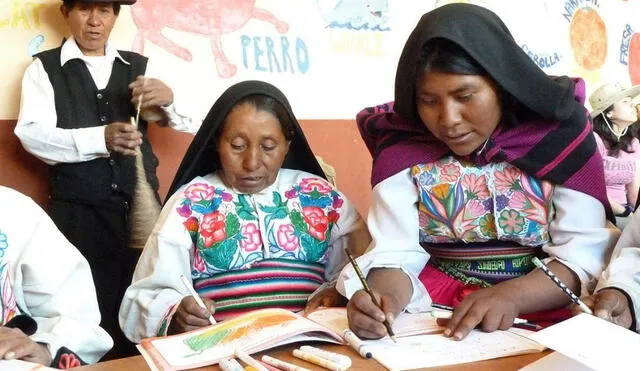 El Ministerio de Educación (Minedu) informa que 5 de cada 100 personas mayores de 15 años en Perú no sabe leer ni escribir. Foto: Andina