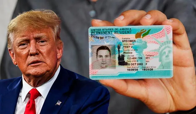 La Green Card es un documento que otorga la residencia permanente legal en los Estados Unidos. Foto: composición LR/Freepik/AFP