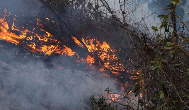 En Cajamarca el fuego devora bosques y sembríos en siete provincias. Foto: Andina