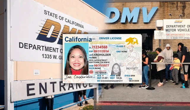 El estado de California tiene una ley que permite a los inmigrantes facilitar la obtención de la licencia de conducir. Foto: composición LR/LA Times/Freepik