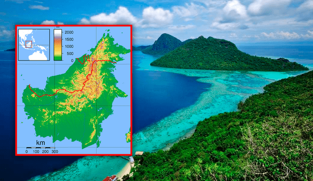 Esta isla se ubica en Asia y tiene a la flor más grande del mundo. Foto: composición LR/ DW