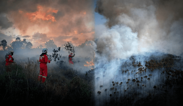 Ciudadanos de la región piden ayuda para acabar con los incendios forestales. Foto: Composición LR