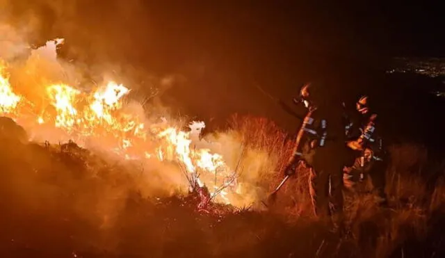 Perú presenta más de 25 emergencias por incendio forestal. Foto: difusión