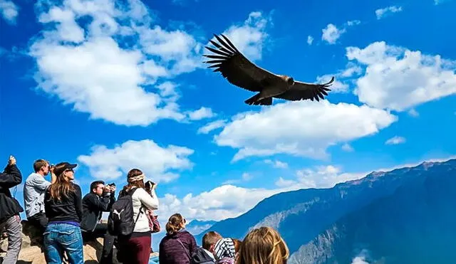 Radiografía. Cerca de 2,2 millones de turistas internacionales arribaron estos ocho meses. Foto: El Peruano