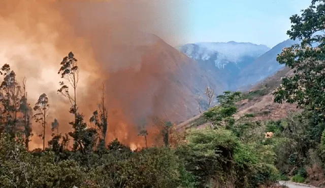 Una de las causas más comunes de los incendios forestales es la práctica agrícola de quemas que, debido a los fuertes vientos, pueden descontrolarse. Foto: Composición de Jazmin Ceras LR/ difusión