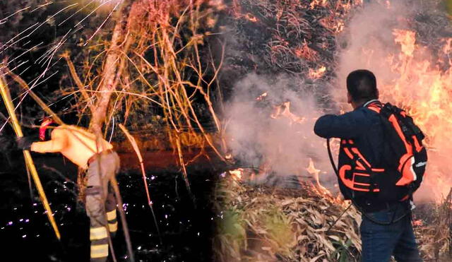 Los incendios forestales impactan los ecosistemas y las comunidades locales del Perú. Foto: composición LR/difusión/Senamhi