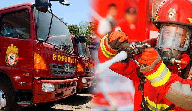 Los interesados en el trabajo deben cumplir requisitos como experiencia en conducción y conocimientos en mecánica automotriz. Foto: composición LR/difusión