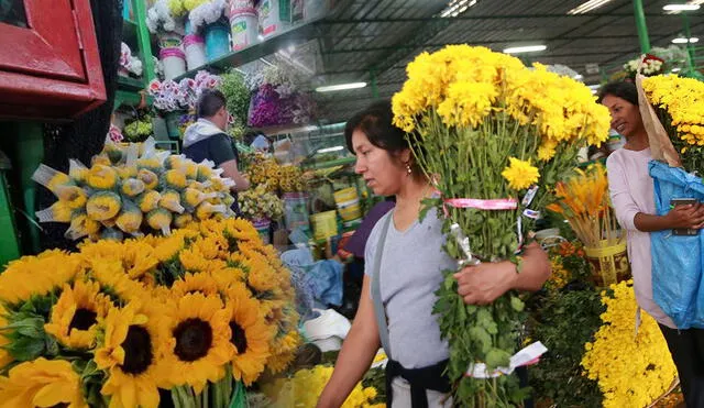 Este 21 de septiembre se ha creado una tradición por redes sociales para regalar flores amarillas. Foto: María Pía Ponce/LR/Andina