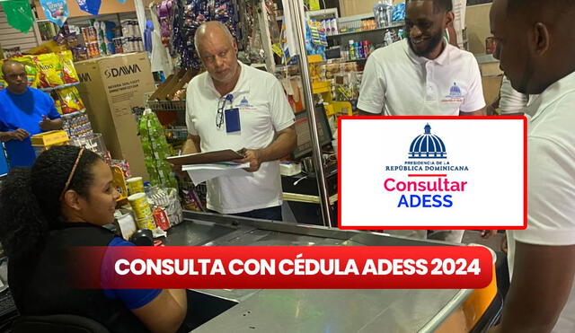 Adess en Línea es una aplicación que permite revisar todos los beneficios que recibes del Gobierno de República Dominicana. Foto: composición LR/ Adess