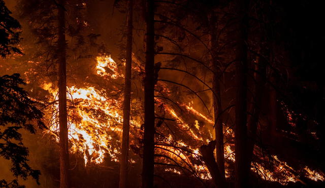 Los incendios de los bosques de Geat Falls están presentes en varios proyectos narrativos de Richard Ford.