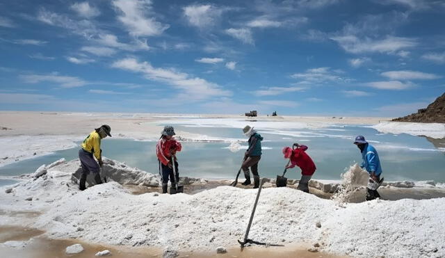 Litio, una gran oportunidad para Perú. Foto: IIMP