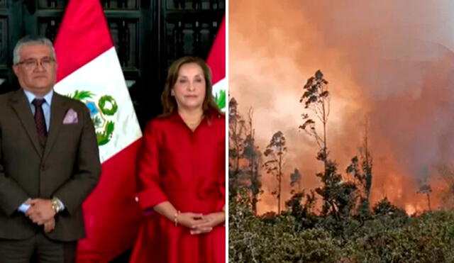 La presidenta Dina Boluarte destacó que este año se han registrado 238 incendios, aunque el Serfor reportó más de 4,000 hasta julio de 2024. Foto: composición LR/Canal N