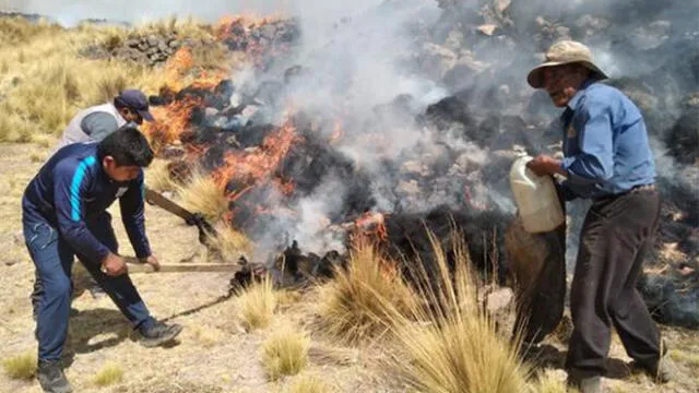 Alistan penas para ciudadanos que provoquen incendios forestales. Foto: difusión