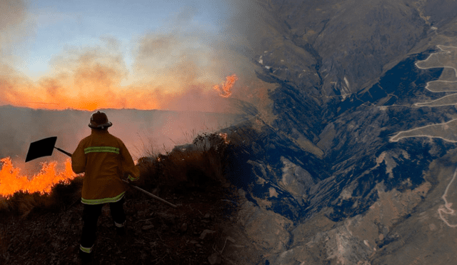 Los incendios forestales han arrasado miles de hectáreas en 22 regiones del país. Foto: composición LR/Andina/Mindef