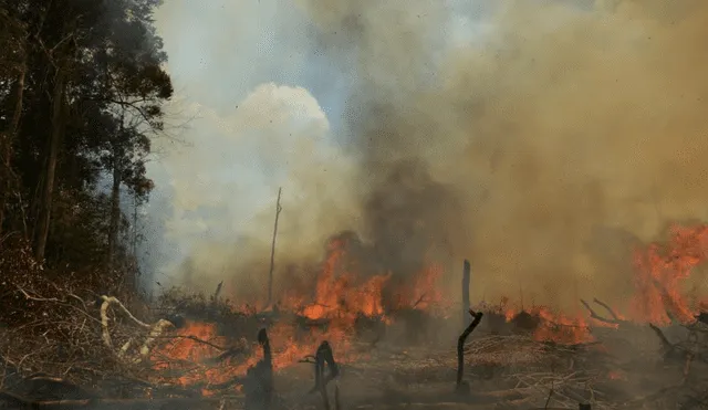 En Brasil se registra la mayor cantidad de incendios en Sudamérica, en los últimos meses. Foto: Carlos Pinto