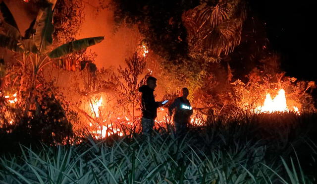 GTAA hizo un llamado a las autoridades políticas y a cada miembro de la comunidad para que tomen acciones concretas en defensa de la naturaleza. Foto: Gobierno Regional de San Martín/Facebook