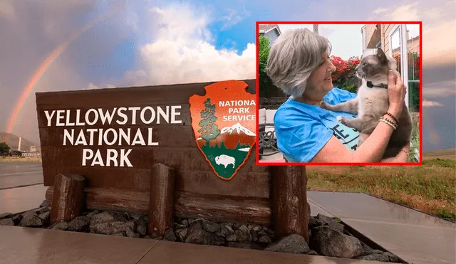 El felino Rayne Beau se perdió en el parque de Yellowstone y caminó más de 1.000 kilómetros hasta la casa de sus dueños en California. Foto: composición LR/NBC News/National Park Service